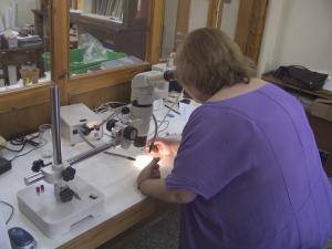 Μελέτη αρχαίου υφάσματος στο στερεοσκόπιο. Αρχαιολογικό Μουσείο Πειραιά. Φωτογραφία Σ. Σπαντιδάκη.